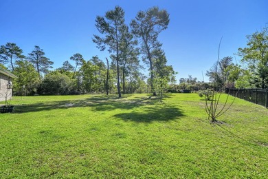 Welcome to 487 Coastal Breeze, a stunning 2,931 sq. ft - photo 33