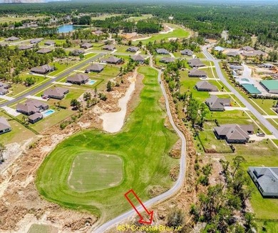 Welcome to 487 Coastal Breeze, a stunning 2,931 sq. ft - photo 43