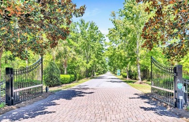 Welcome to 487 Coastal Breeze, a stunning 2,931 sq. ft - photo 45