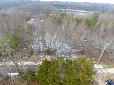 2.75 Acre Lake Cumberland Lot w Light Covenants - photo 6