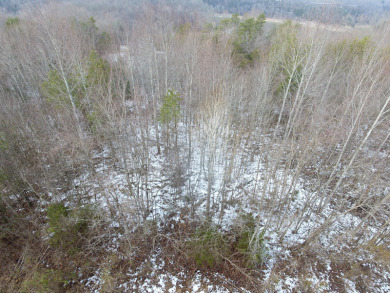 2.75 Acre Lake Cumberland Lot w Light Covenants - photo 3