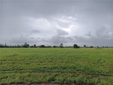 Rotunda Meadows Lakes  Lot For Sale in Placida Florida