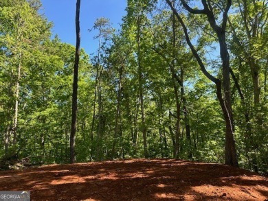 Lake Lot For Sale in Toccoa, Georgia