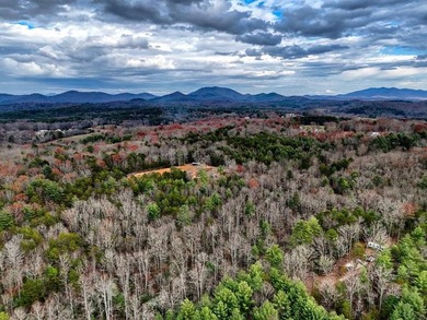 Very private 6 acre tract of land in beautiful Blairsville, GA - photo 27