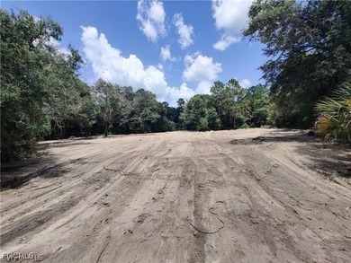 Lehigh Acres Area Lot For Sale in Lehigh Acres Florida