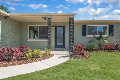 **WOW! BEST DEAL in HOLIDAY with NO HOA!** This contemporary - photo 7