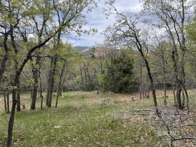 Navajo Lake Lot For Sale in Duck Creek Village Utah