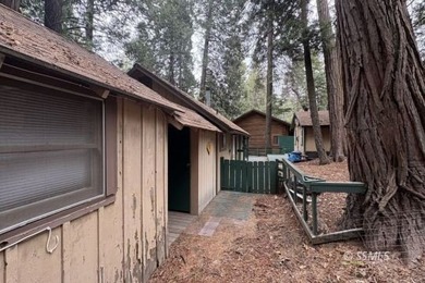 Charming Alta Sierra cabin with breathtaking tree and mountain - photo 4