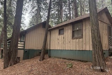 Charming Alta Sierra cabin with breathtaking tree and mountain - photo 7