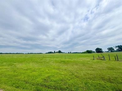 Beautiful 2.24 Acre lot located in the upscale Eagle Shores - Lake Lot For Sale in Pittsburg, Texas