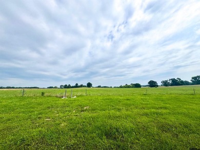 Beautiful 2.24 Acre lot located in the upscale Eagle Shores - photo 3