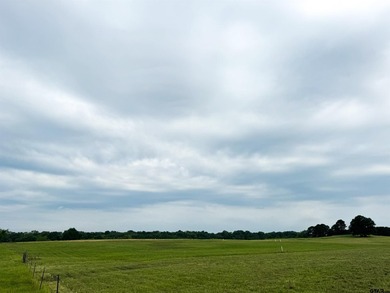 Beautiful 2.24 Acre lot located in the upscale Eagle Shores - photo 4