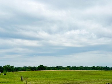 Beautiful 2.24 Acre lot located in the upscale Eagle Shores - photo 5