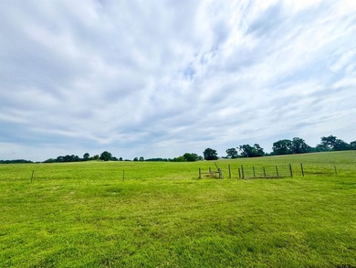 Beautiful 2.24 Acre lot located in the upscale Eagle Shores - photo 6
