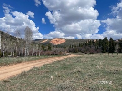 Navajo Lake Lot For Sale in Duck Creek Village Utah