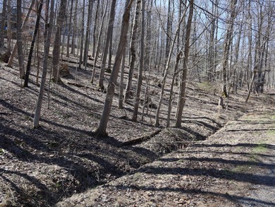 Lake of Four Seasons Lot For Sale in Hideaway Hills Ohio