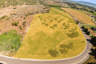 Unparalleled 10.83-Acre Panoramic Estate View Lot in Midway, UT - photo 11