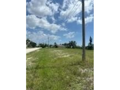 Build your dream home on this oversized freshwater canal lot in - photo 16