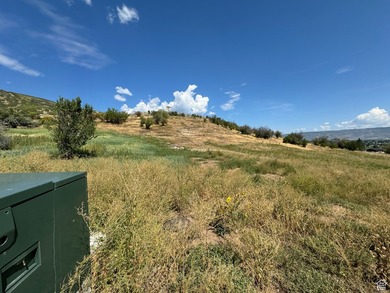 Unparalleled 10.83-Acre Panoramic Estate View Lot in Midway, UT - photo 17