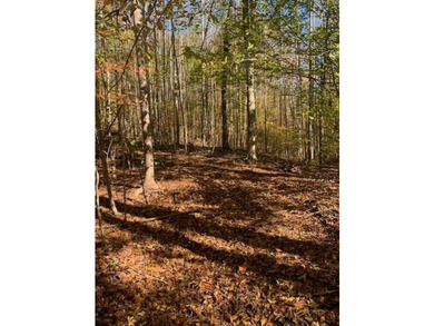 Great opportunity to own your piece of paradise within minutes - photo 2