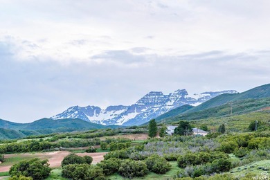 Unparalleled 10.83-Acre Panoramic Estate View Lot in Midway, UT - photo 22