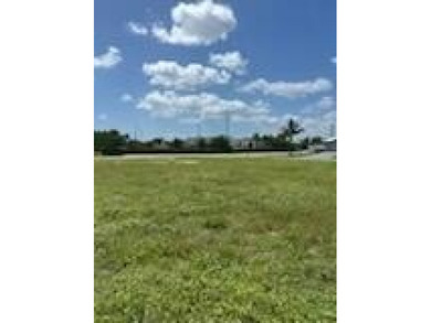 Build your dream home on this oversized freshwater canal lot in - photo 23