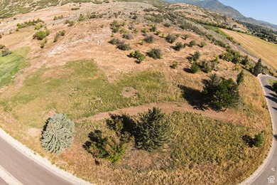 Unparalleled 10.83-Acre Panoramic Estate View Lot in Midway, UT - photo 23