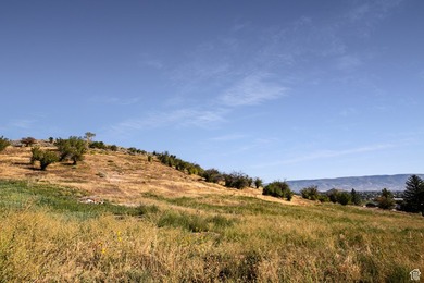 Unparalleled 10.83-Acre Panoramic Estate View Lot in Midway, UT - photo 26