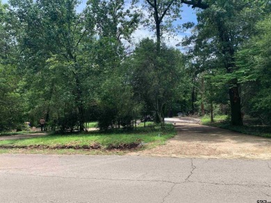 Holly Lake Ranch / Holly Lake Lot For Sale in Holly Lake Ranch Texas