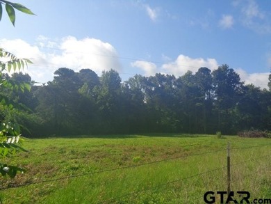 Desired small acreage in Winnsboro. This 1.612 acres has a lot - photo 1