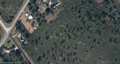 Lake Lot For Sale in Lake Placid, Florida