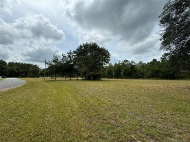 Hampton Lake - Bradford County Lot For Sale in Hampton Florida