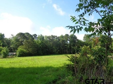Desired small acreage in Winnsboro. This 1.612 acres has a lot - photo 2