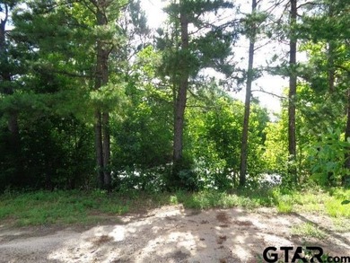 Desired small acreage in Winnsboro. This 1.612 acres has a lot - photo 3