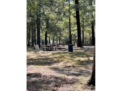 RETREAT ON THE CADDO RIVER!! 24 acres+/- CADDO RIVER property - photo 4