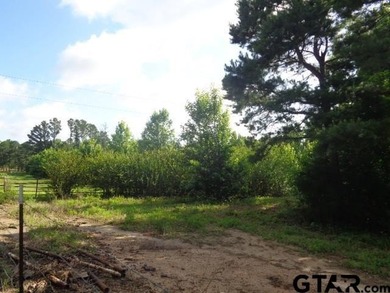 Desired small acreage in Winnsboro. This 1.612 acres has a lot - photo 4
