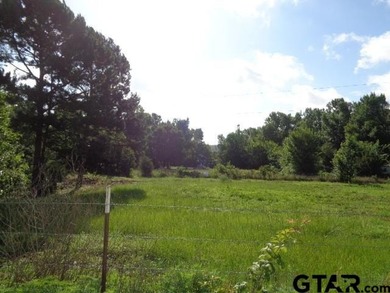 Desired small acreage in Winnsboro. This 1.612 acres has a lot - photo 5
