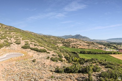 Unparalleled 10.83-Acre Panoramic Estate View Lot in Midway, UT - photo 35