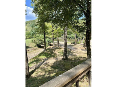 RETREAT ON THE CADDO RIVER!! 24 acres+/- CADDO RIVER property - photo 6