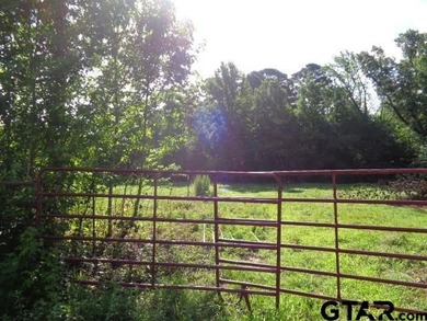 Desired small acreage in Winnsboro. This 1.612 acres has a lot - photo 6