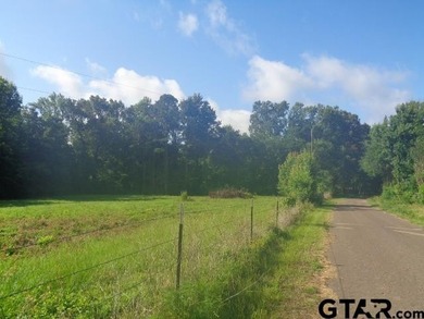 Desired small acreage in Winnsboro. This 1.612 acres has a lot - photo 7