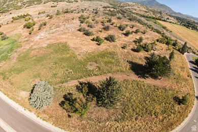 Unparalleled 10.83-Acre Panoramic Estate View Lot in Midway, UT - photo 42