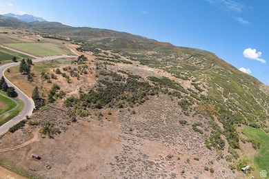 Unparalleled 10.83-Acre Panoramic Estate View Lot in Midway, UT - photo 47