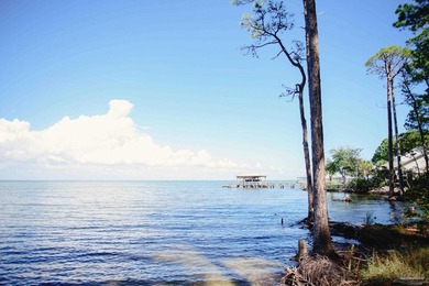 Escape to paradise in this beautifully updated home located in - photo 50