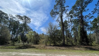 Lake George Lot For Sale in Georgetown Florida