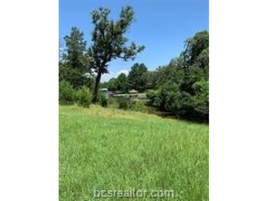 Waterfront Cabin with Electric, Water and Aerobic Septic in a - photo 7