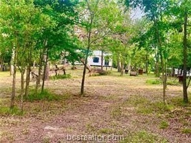 Waterfront Cabin with Electric, Water and Aerobic Septic in a - photo 10