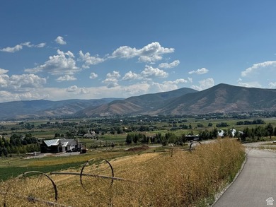 Unparalleled 10.83-Acre Panoramic Estate View Lot in Midway, UT - photo 60