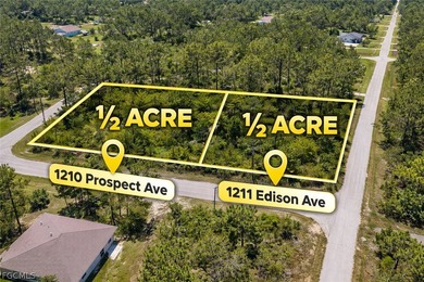 Lehigh Acres Area Lot For Sale in Lehigh Acres Florida