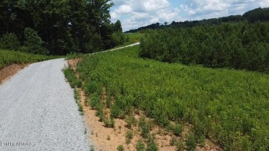 (private lake, pond, creek) Acreage For Sale in Vonore Tennessee